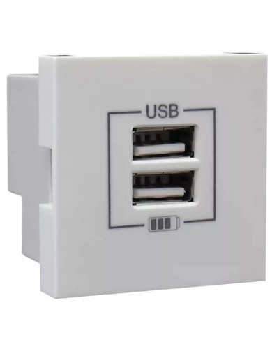 Розетка USB двойная, зарядная, белая (45439 SBR): Розетка USB двойная в Черкесске