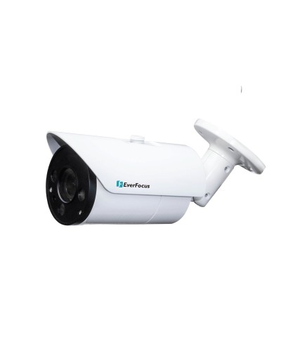 EZN-268V. Видеокамера IP купольная. EverFocus в Черкесске