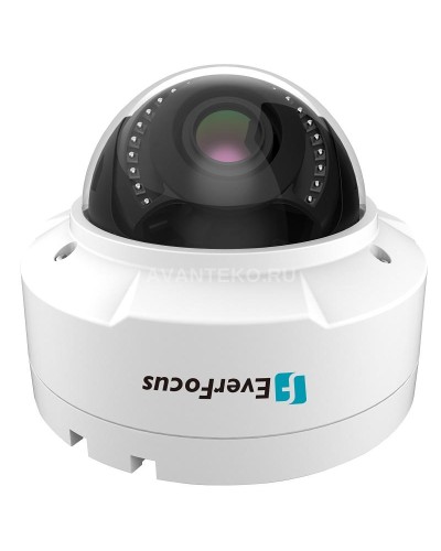 EHN-1250. Видеокамера IP купольная. EverFocus в Черкесске