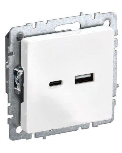 Розетка USB A+C 18Вт РЮ11-1-БрБ белый BRITE (BR-U22-018-K01). Розетка USB. IEK в Черкесске