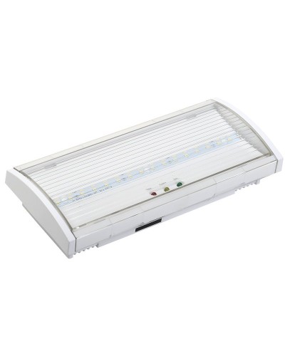 Светильник аварийный ДПА 5040-3 3ч IP54 LIGHTING (LDPA0-5040-3H-K01). Светильник аварийный постоянного действия. IEK в Черкесске