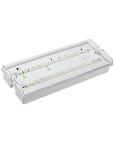 Светильник аварийный ДПА 5042-3 3ч IP65 LIGHTING (LDPA0-5042-3-65-K01). Светильник аварийный универсальный. IEK в Черкесске