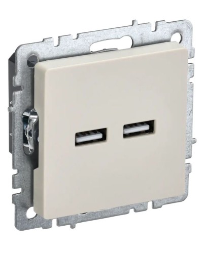 Розетка USB A+A 3,1А РЮ10-1-БрКр бежевый BRITE (BR-U21-D31-K10). Розетка USB. IEK в Черкесске