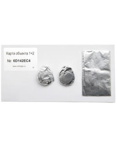 Карта объекта 1+2. Проксимити карта. IronLogic в Черкесске