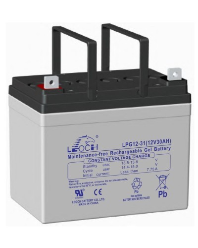 LEOCH LPG 12-31. Аккумулятор герметичный свинцово-кислотный. LEOCH в Черкесске
