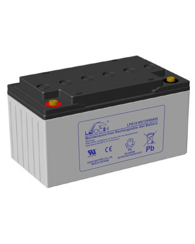 LEOCH LPG 12-65. Аккумулятор герметичный свинцово-кислотный. LEOCH в Черкесске