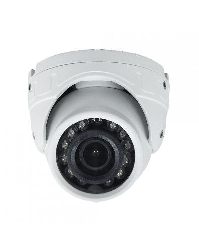 ST-S4501 (2.8) (белый). Профессиональная видеокамера IP купольная. Space Technology в Черкесске
