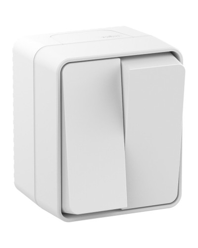 AtlasDesign PROFI54 выключатель 2-клавишный, открытой установки, белый (ATN540151). Выключатель. Systeme Electric в Черкесске
