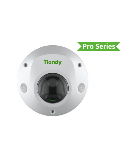 TC-C32PS I3/E/Y/M/H/2.8/V4.2. Видеокамера IP купольная. Tiandy в Черкесске