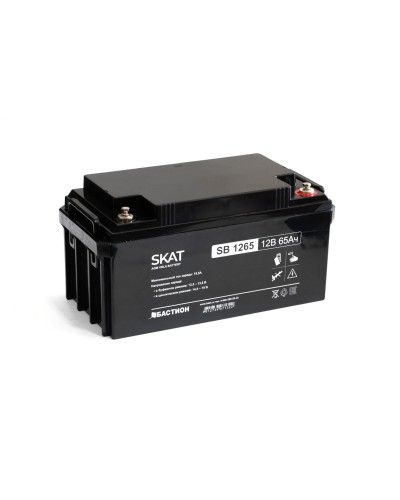 SKAT SB 1265 (2541). Аккумулятор герметичный свинцово-кислотный. Бастион в Черкесске