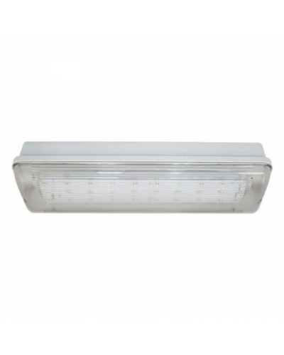 SL-213-30LED1.8 исп.1 IP54. Светильник аварийного освещения. ИП Раченков А.В. в Черкесске