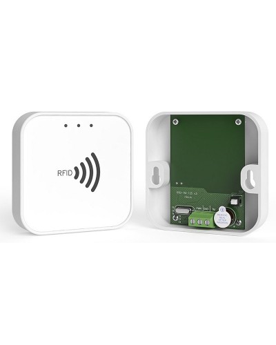 RFID-TM. Считыватель RFID. Ритм в Черкесске
