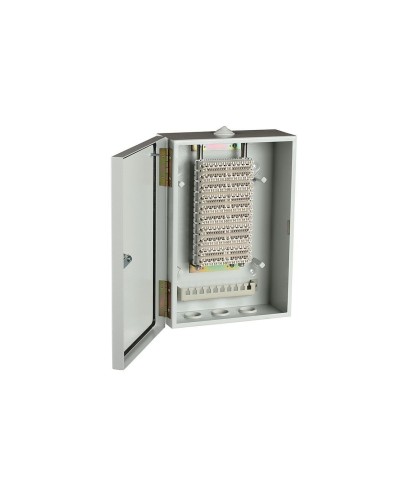 ШРН-В/100-Р (120908-00122). Шкаф ШРН-В/100-Р, плинт ПВТ-10Р-5е. ССД (Связьстройдеталь) в Черкесске